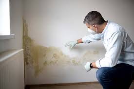 Best Post-Construction Mold Inspection  in Cooper City, FL